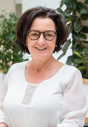 Soziale Arbeit und Politik: Im Auftrag der Menschenrechte | Karl-Renner ...