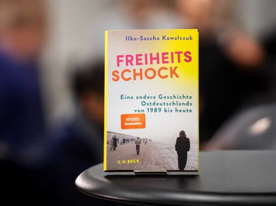 Buchcover: Freiheitsschock 